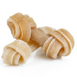 Chewy Bone Toy