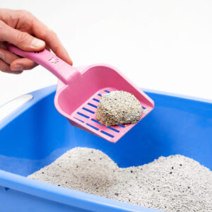 Natural Kitty Litter